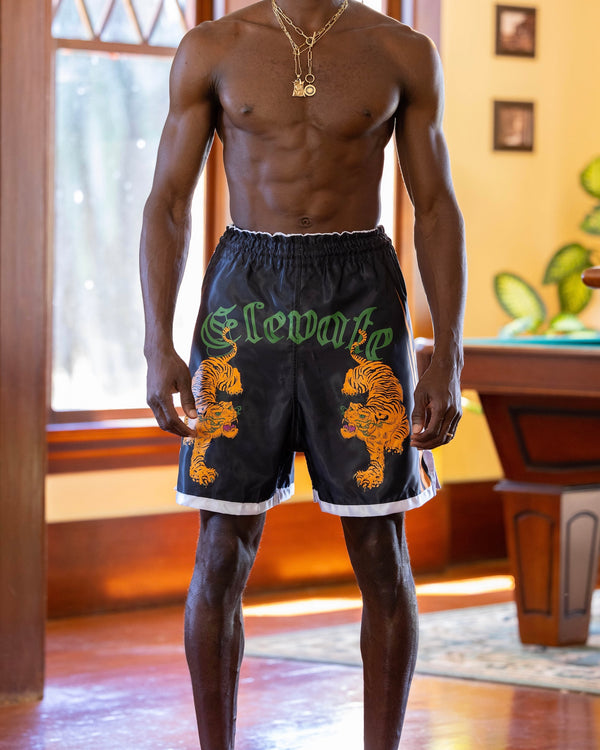Black Muay Thai Shorts