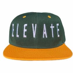 Classic Snapback - Green/Yellow