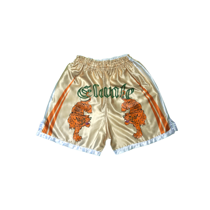 Gold Muay Thai Shorts